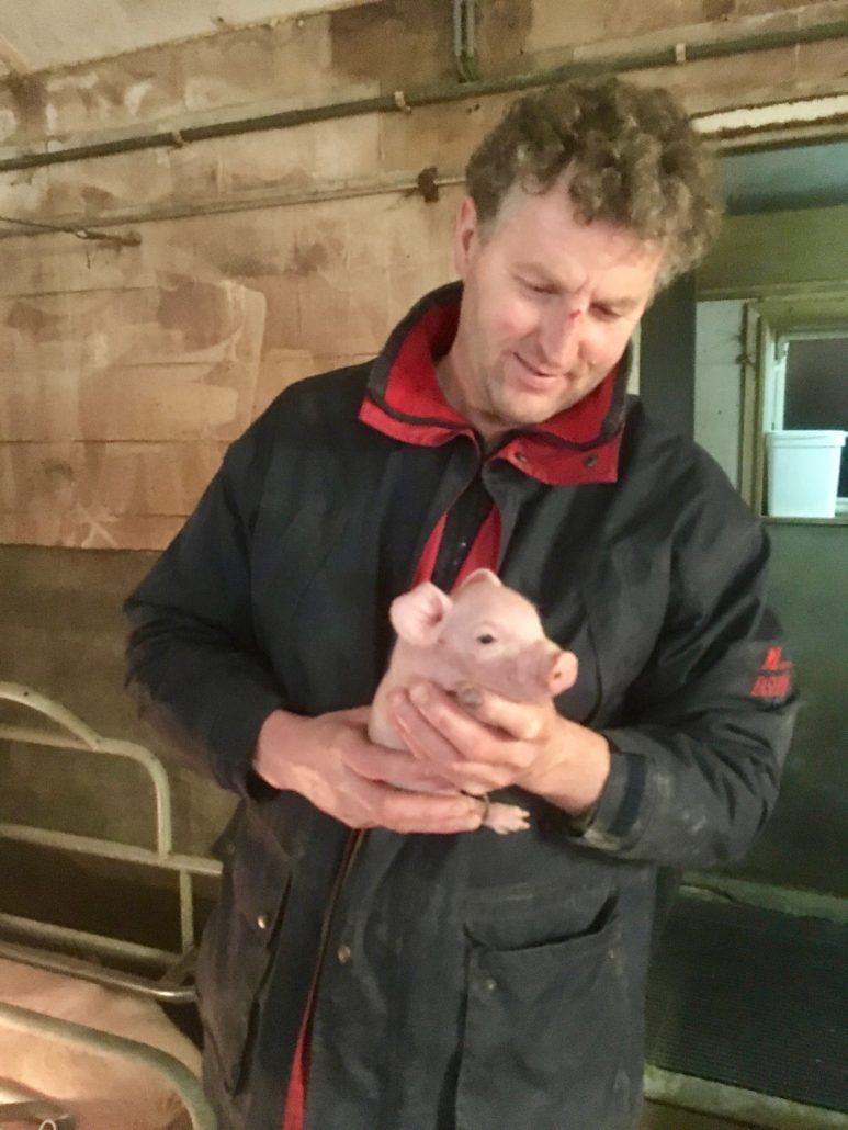 varkensboer houdt biggetje vast
