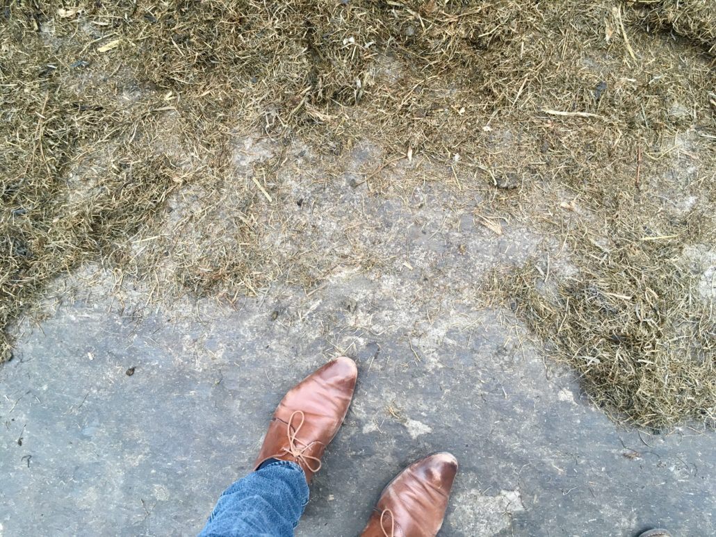 Schoenen op de grond in stal